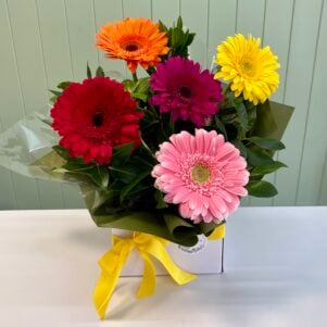 Gerbera box
